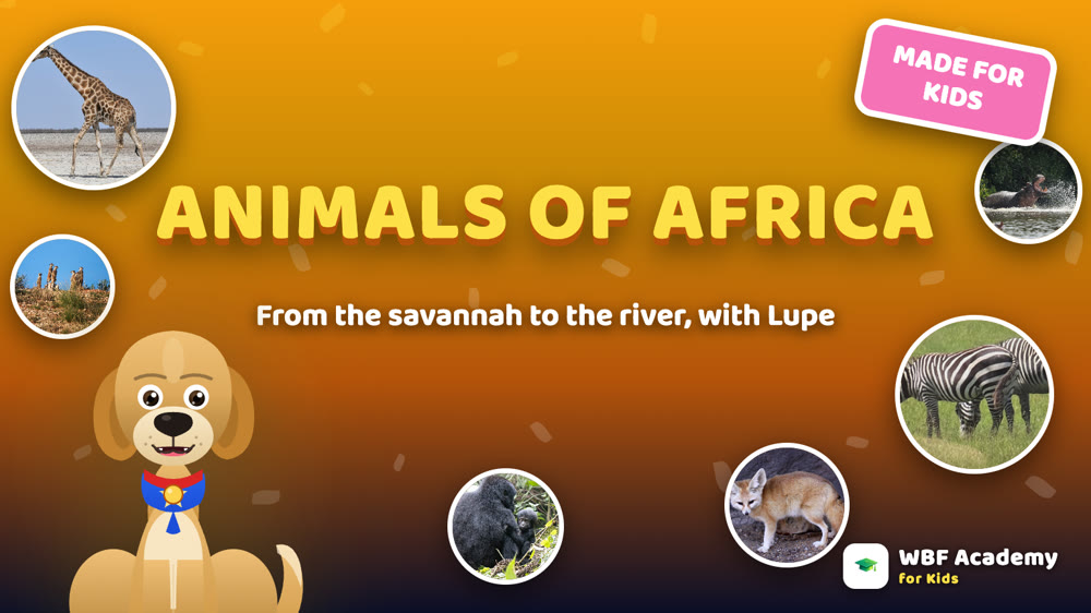 Animals of Africa for Kids