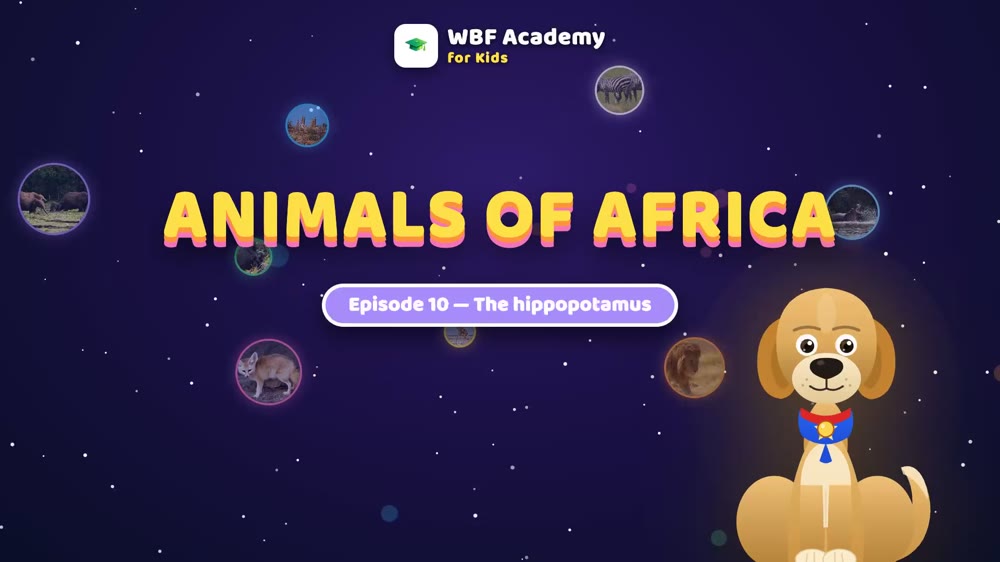 The Hippopotamus