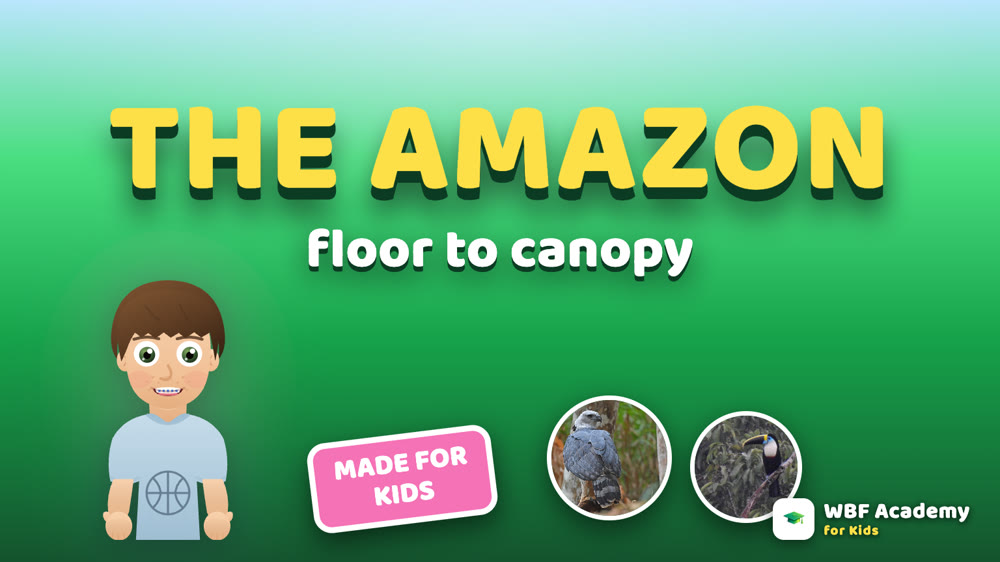 The Amazon: Floor to Canopy