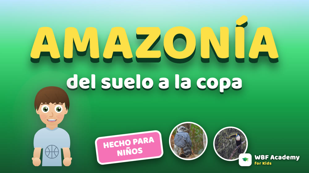 Amazonía: del Suelo a la Copa