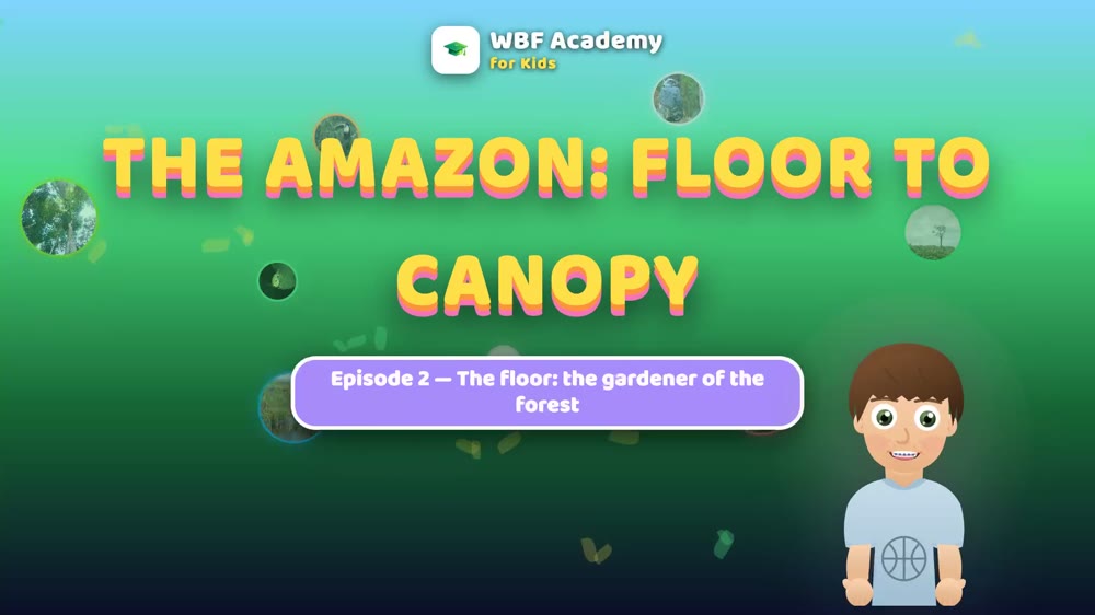 The Forest Floor