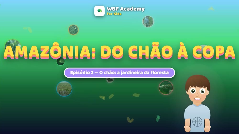 O chão da floresta
