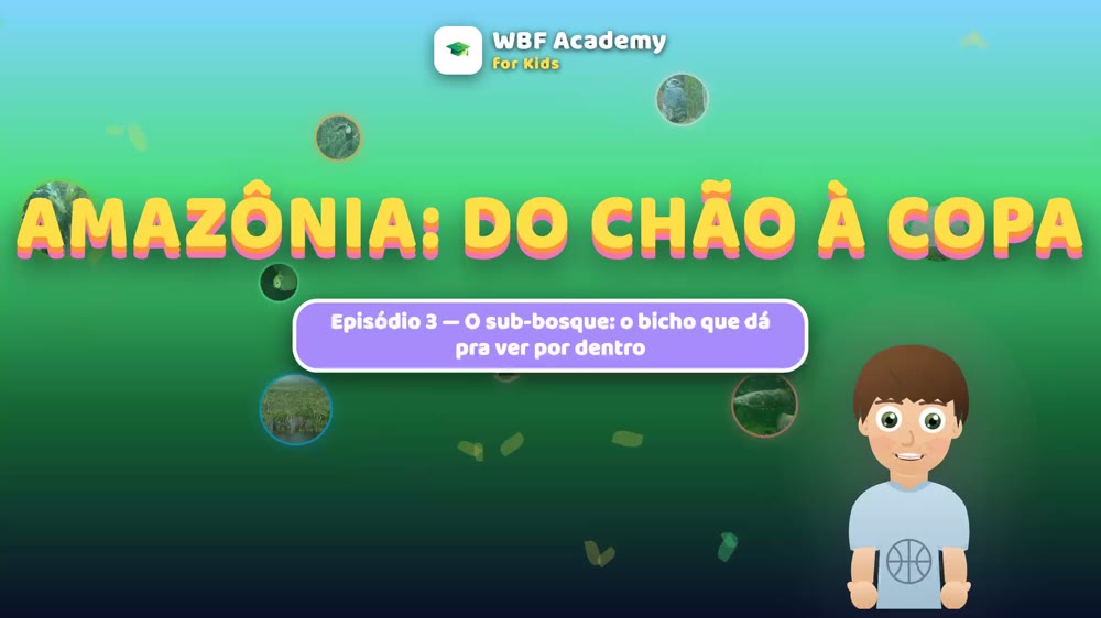 O sub-bosque