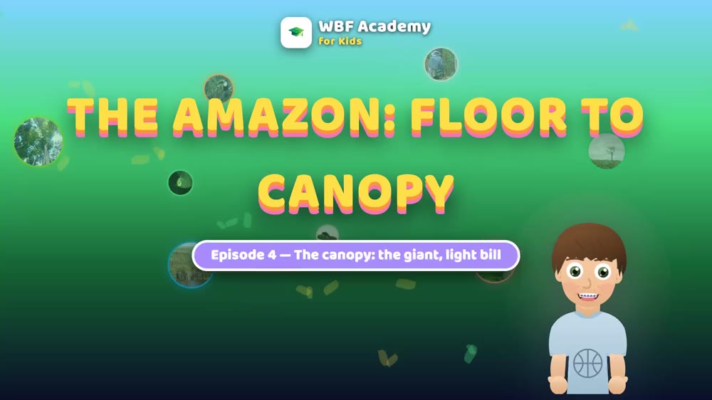 The Canopy