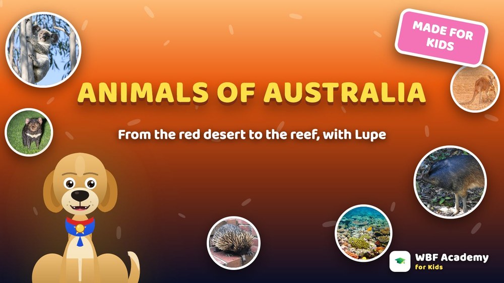 Animals of Australia for Kids