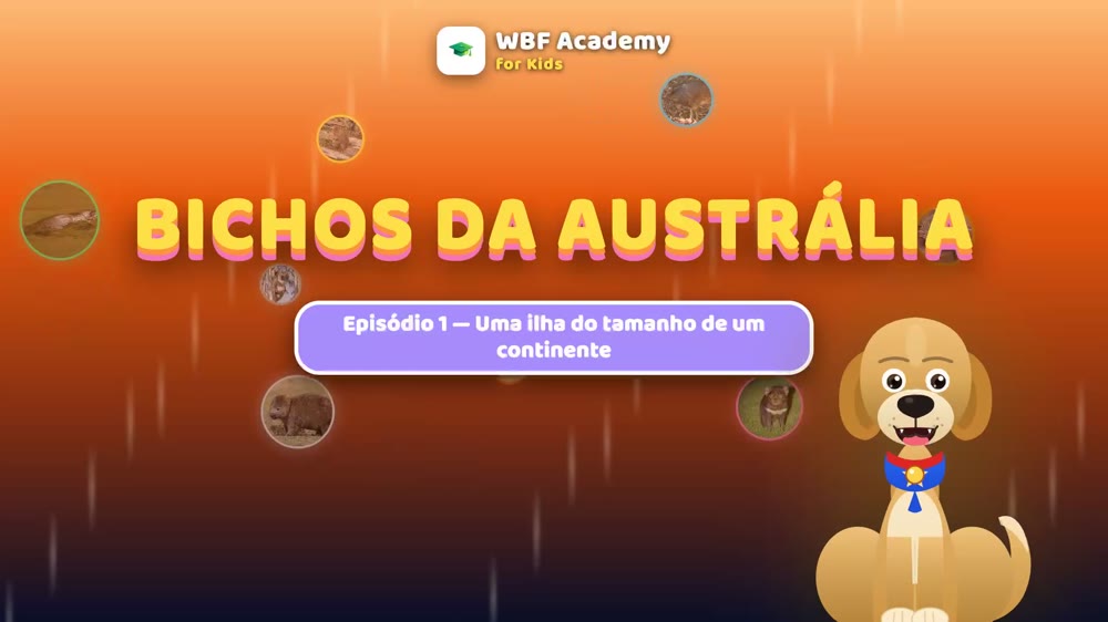Uma ilha do tamanho de um continente
