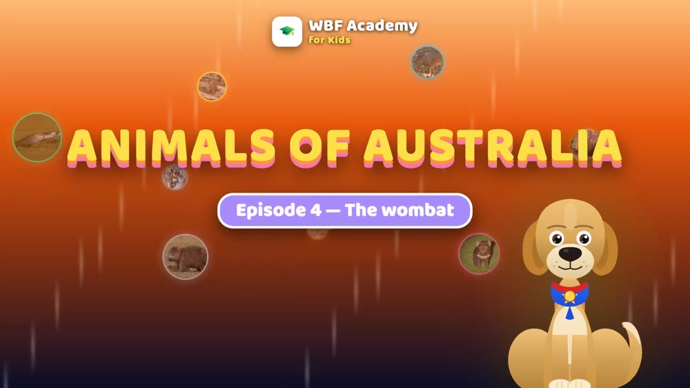 The Wombat