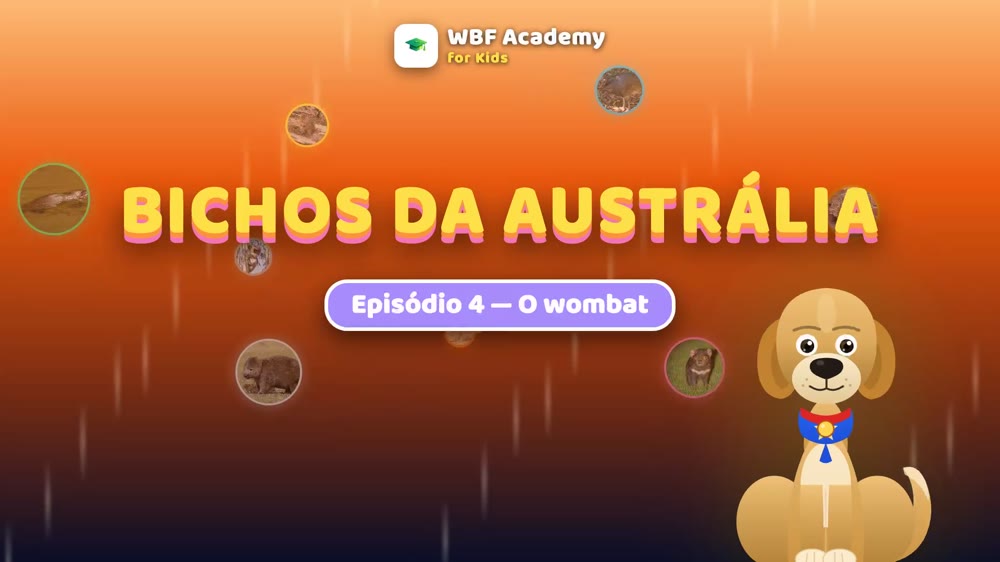 O wombat