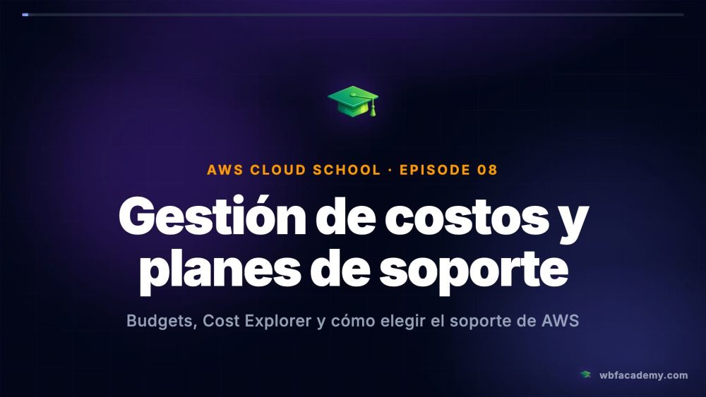 Gestión de costos y planes de soporte