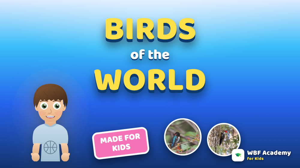 Birds of the World for Kids