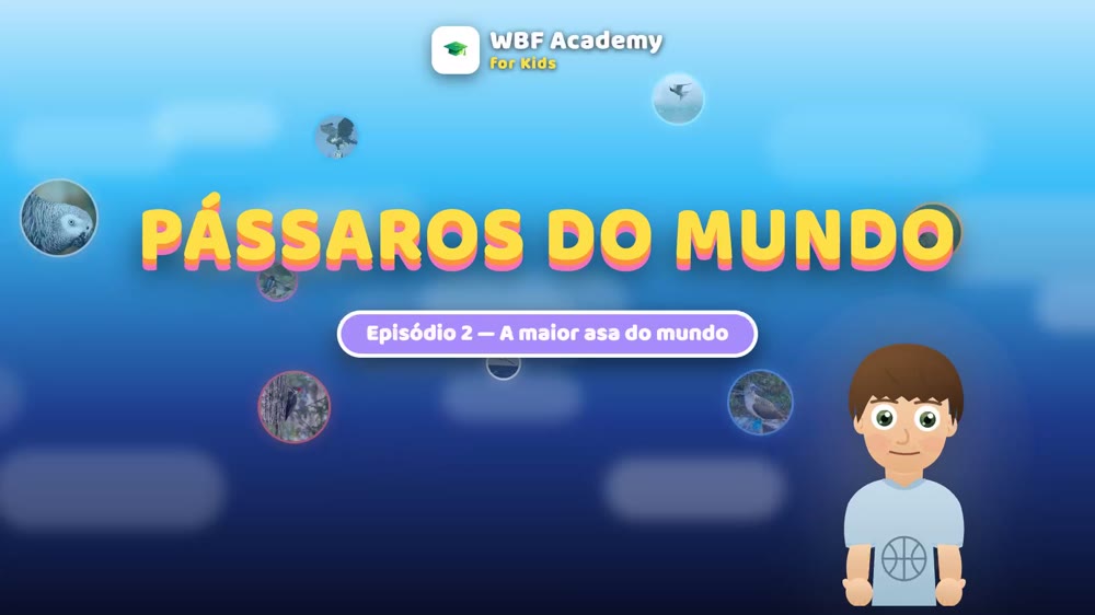 O albatroz