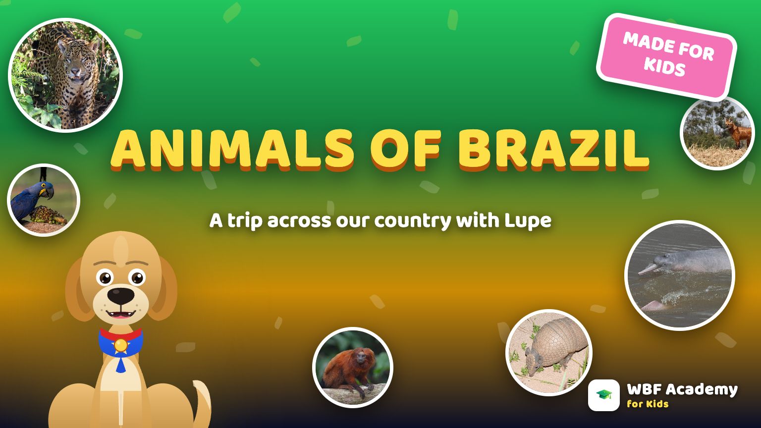 Animals of Brazil for Kids