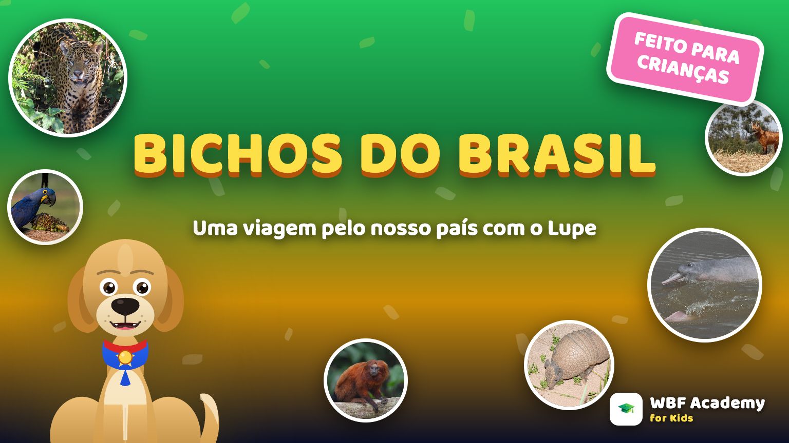 Bichos do Brasil para Crianças