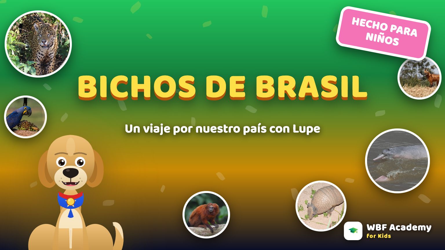 Bichos de Brasil para Niños