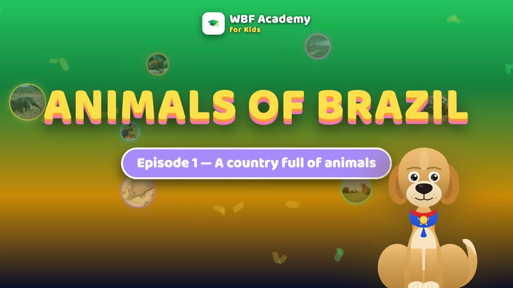 A Country Full of Animals