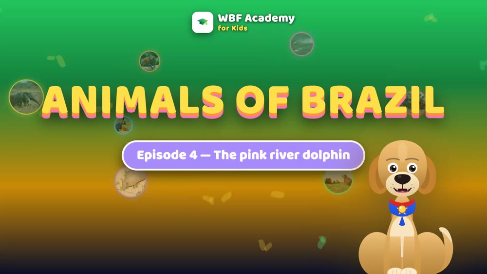 The Pink River Dolphin