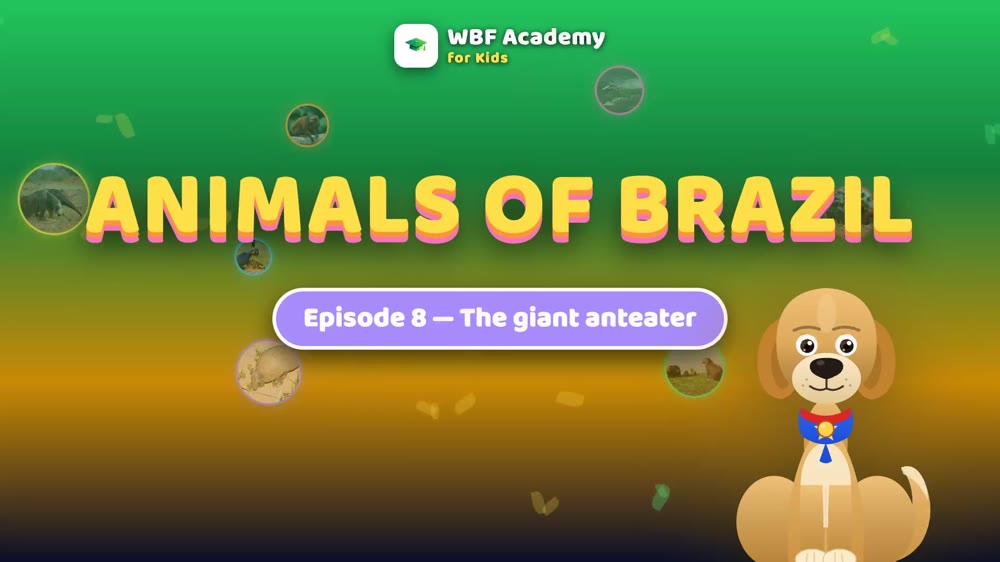 The Giant Anteater