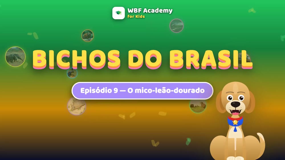 O Mico-Leão-Dourado