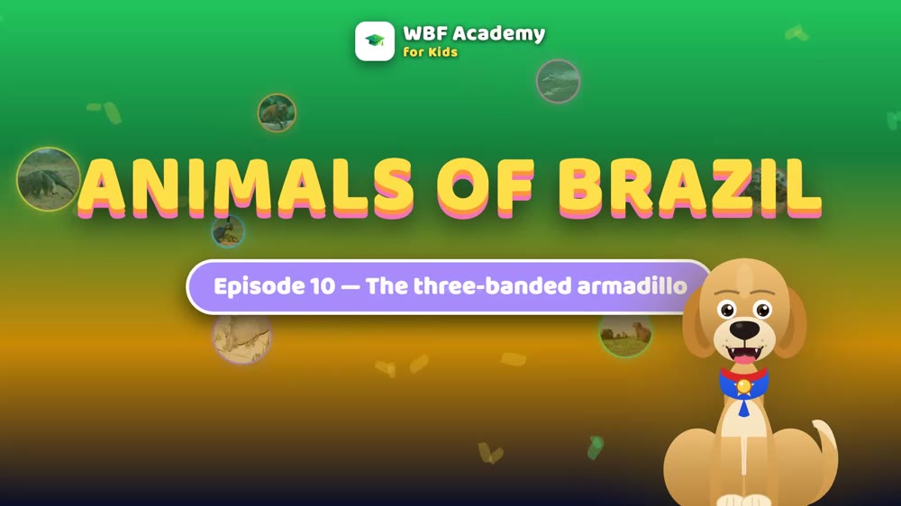 The Three-Banded Armadillo