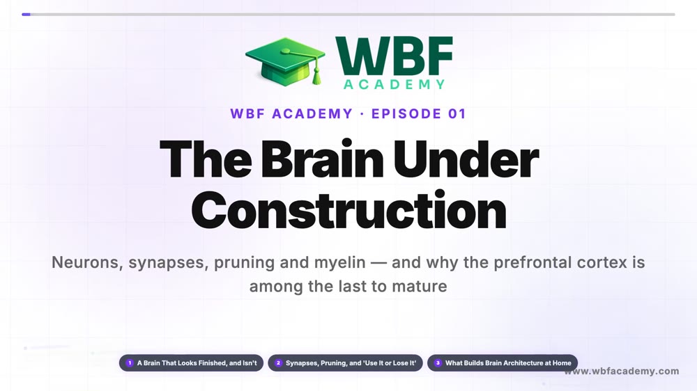The Brain Under Construction