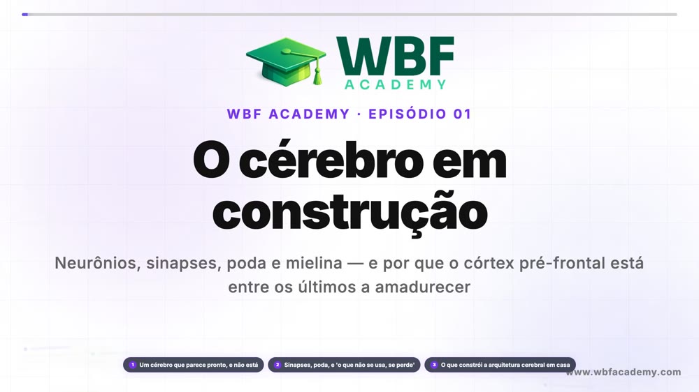 O cérebro em construção
