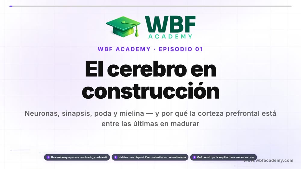 El cerebro en construcción