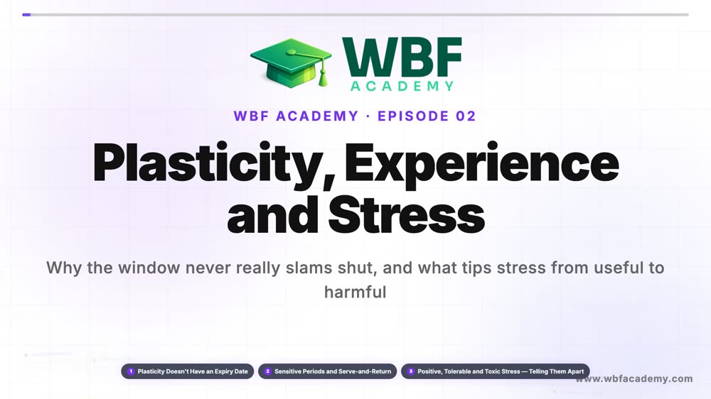 Plasticity, Experience and Stress