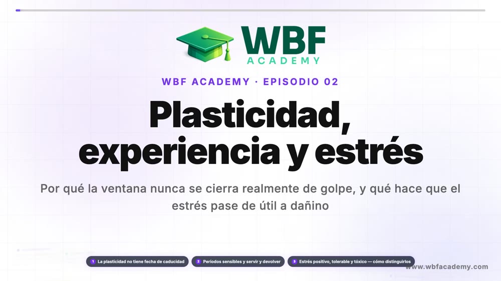 Plasticidad, experiencia y estrés