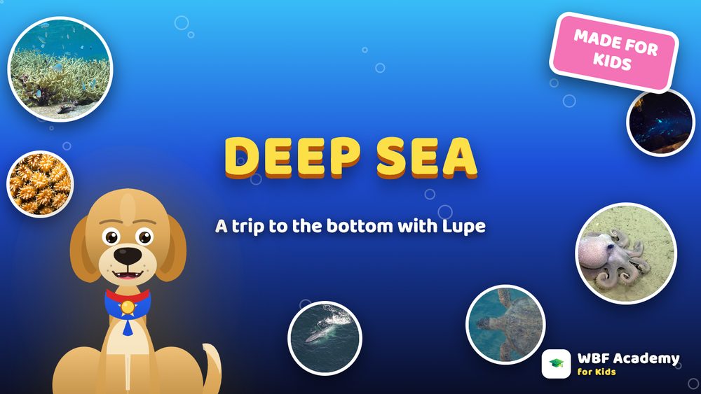 Deep Sea for Kids