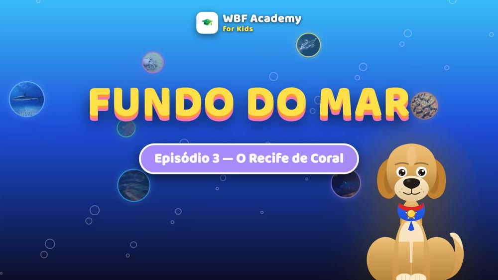 O Recife de Coral