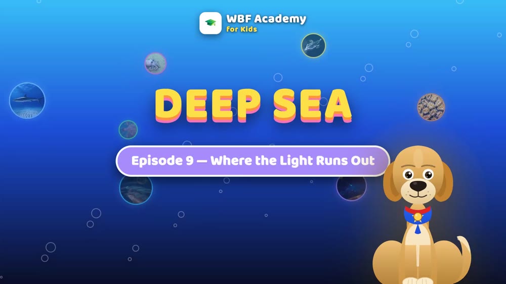 Where the Light Runs Out