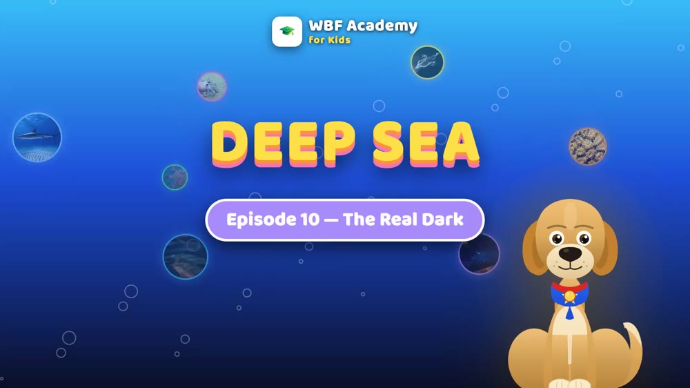 The Real Dark