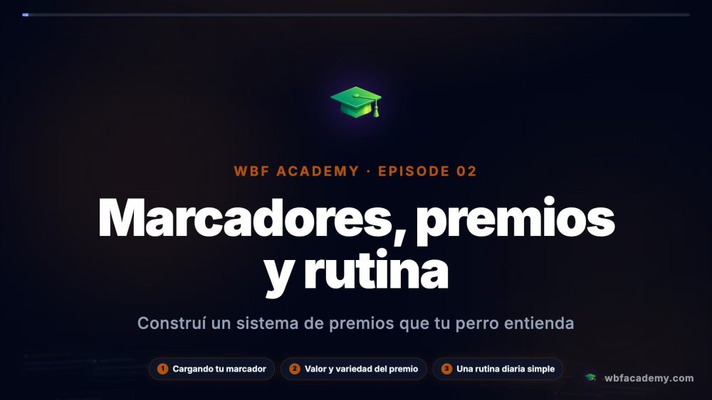 Marcadores, premios y rutina