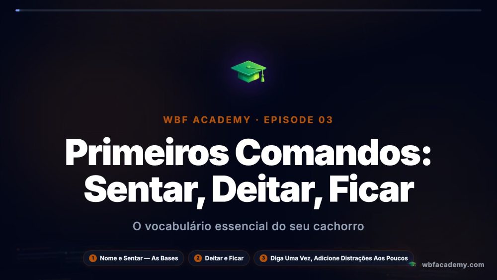 Primeiros Comandos: Sentar, Deitar, Ficar