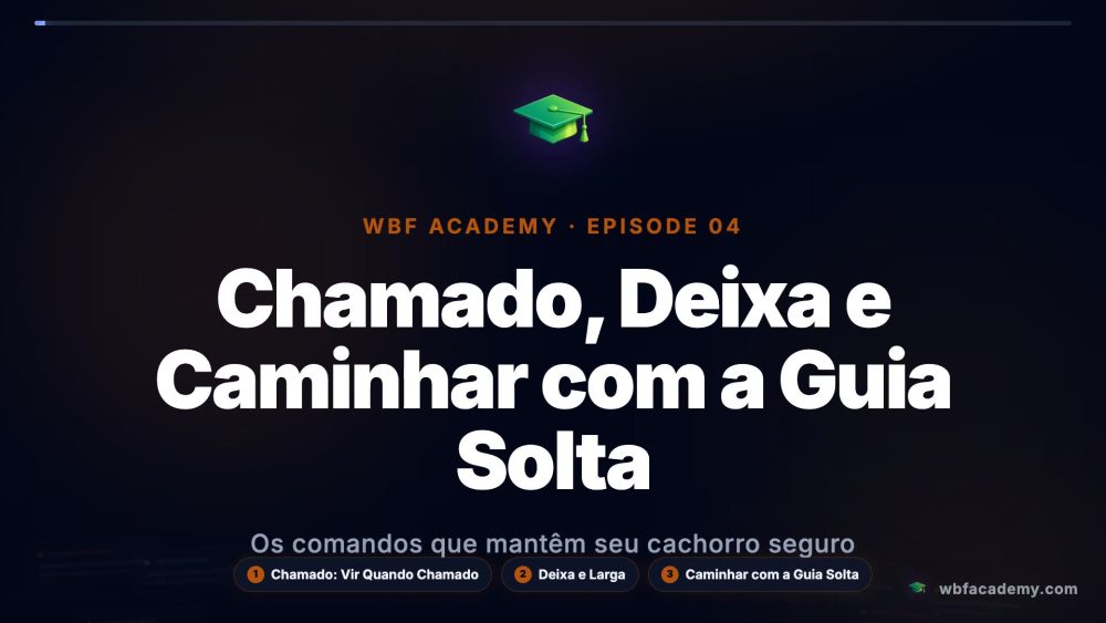Chamado, Deixa e Caminhar com a Guia Solta