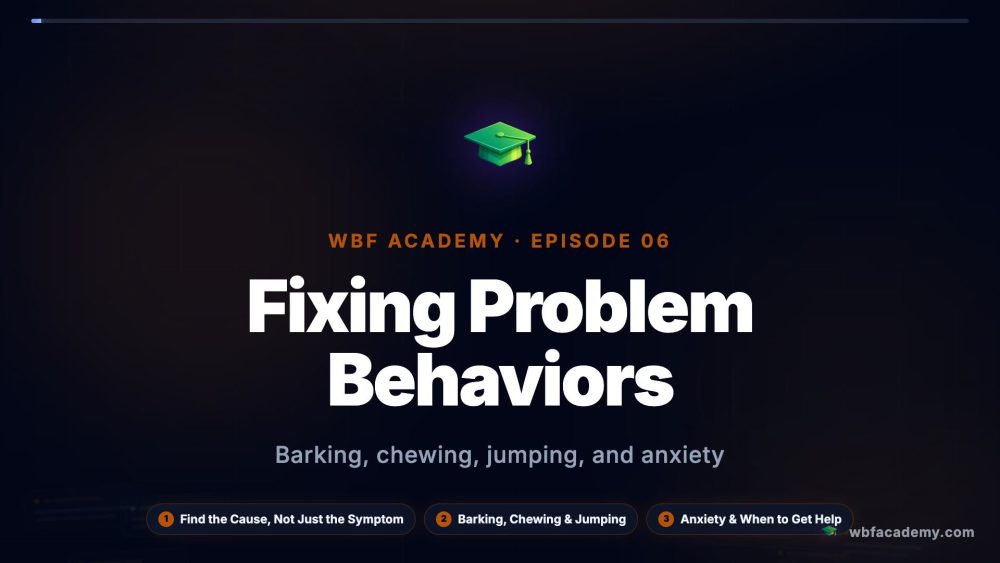 Fixing Problem Behaviors