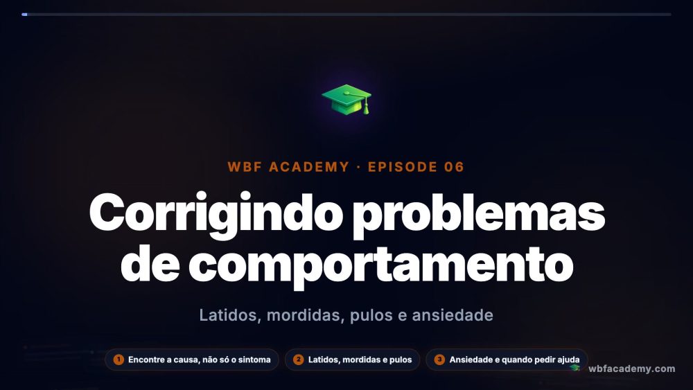 Corrigindo problemas de comportamento