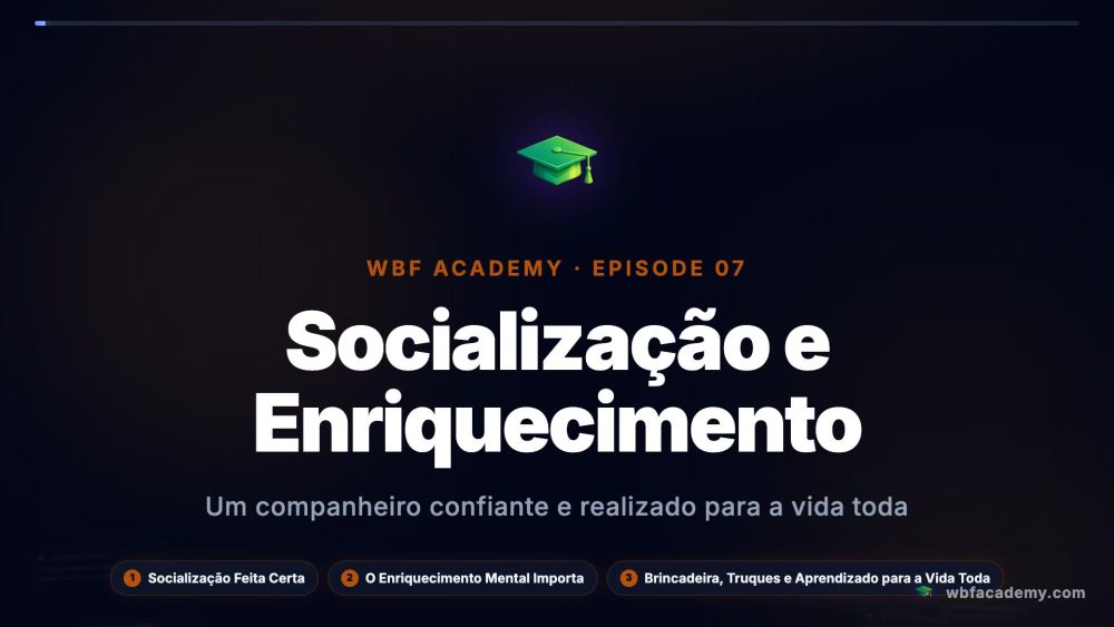 Socialização e Enriquecimento