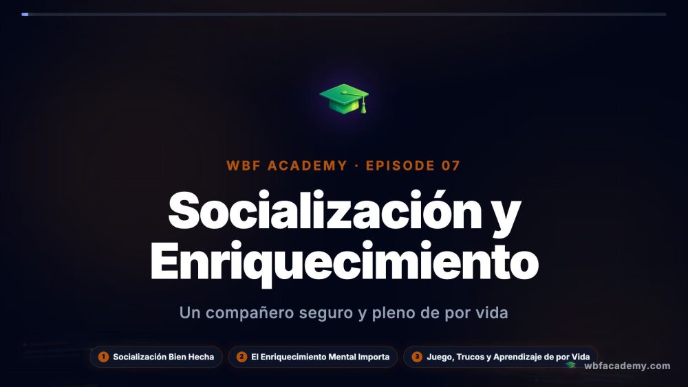 Socialización y Enriquecimiento