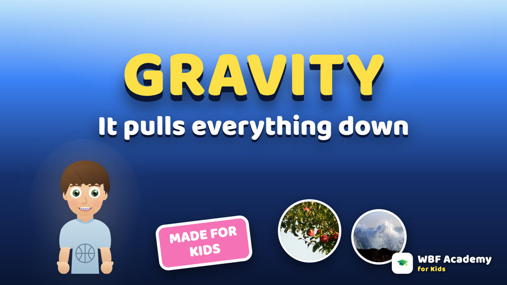 Gravity Pulls Everything for Kids