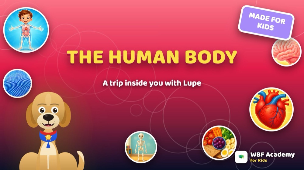 The Human Body for Kids