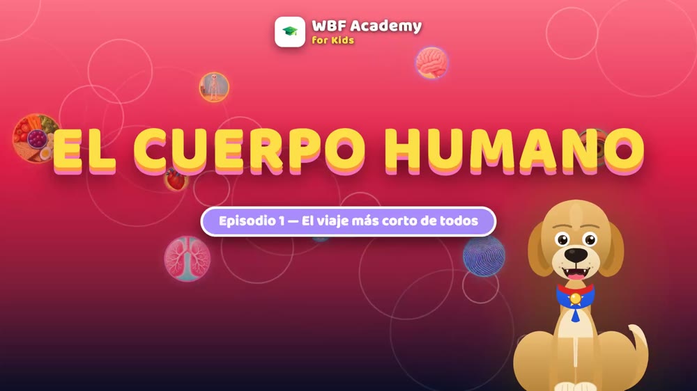 Estás Hecho de Capas