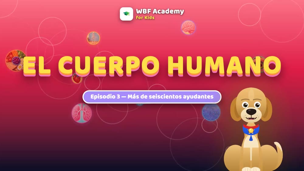 Los Músculos: Quien Te Mueve