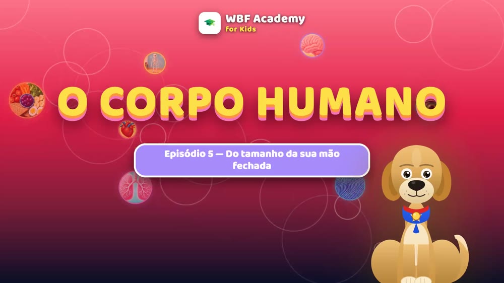 O Coração: a Bomba Que Não Para