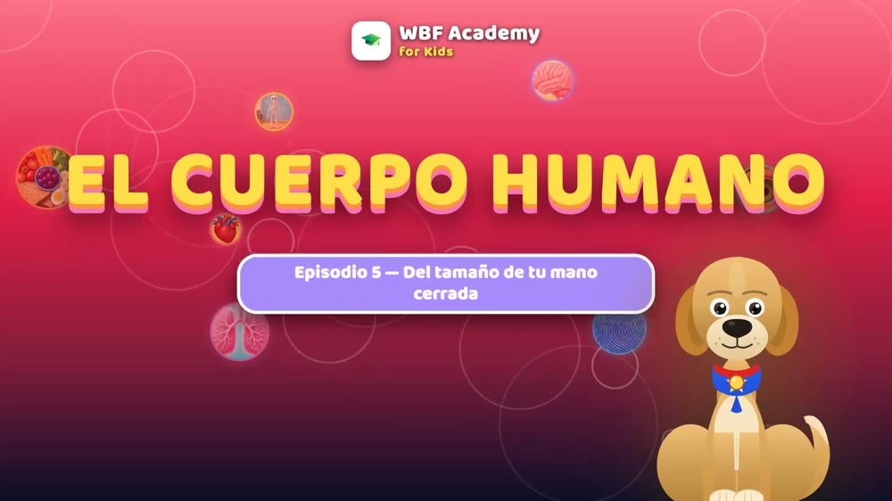 El Corazón: La Bomba Que Nunca Para
