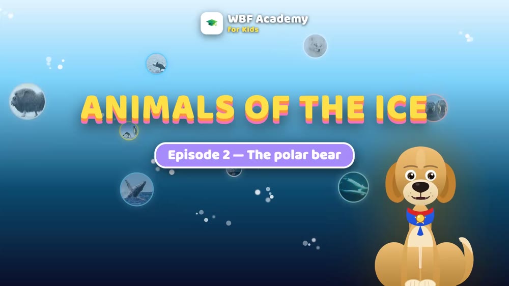 The Polar Bear