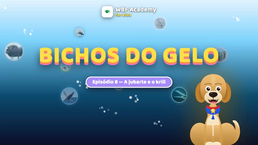 A jubarte e o krill