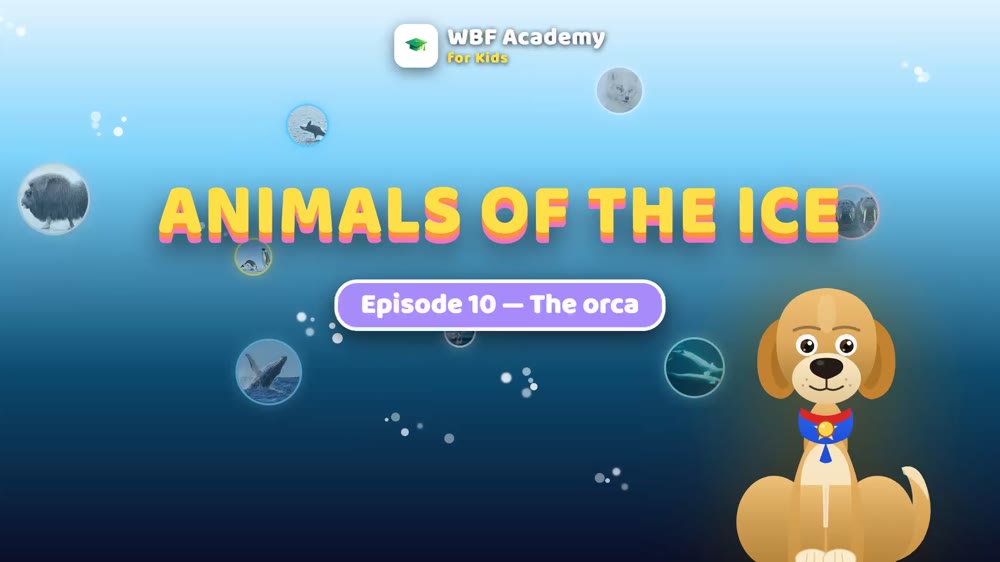 The Orca
