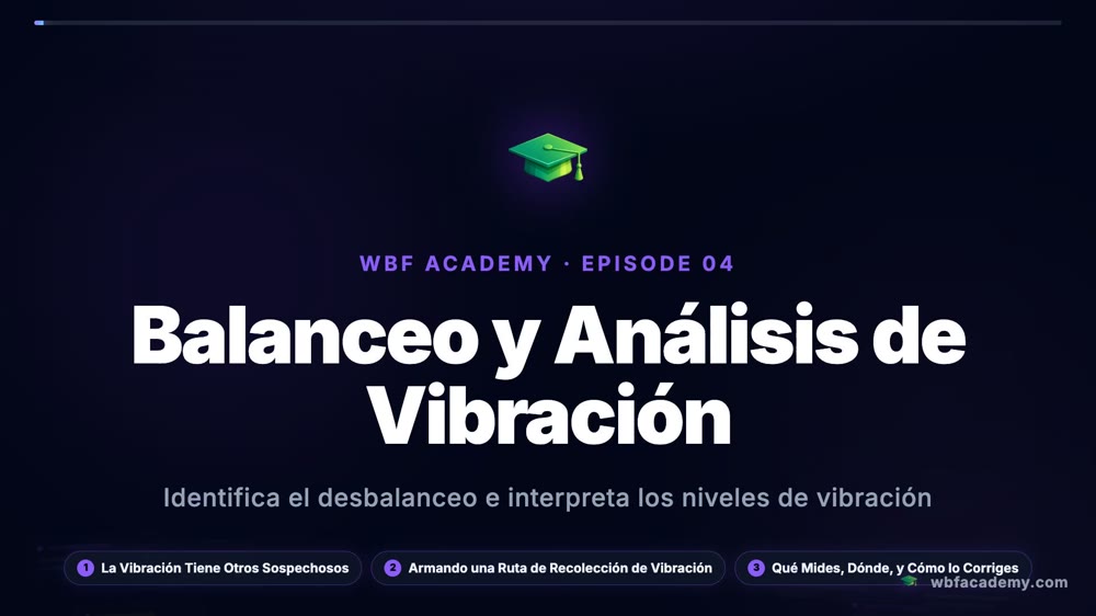 Balanceo y Análisis de Vibración