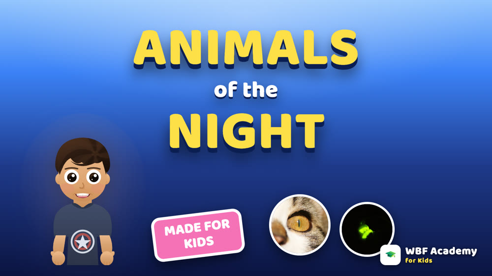 Animals of the Night for Kids